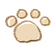 犬,肉球,ガサガサ,乾燥