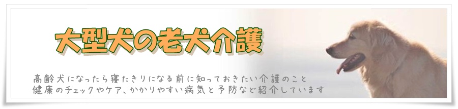 V̎U̎Ԃ⋗͂ǂꂭ炢H