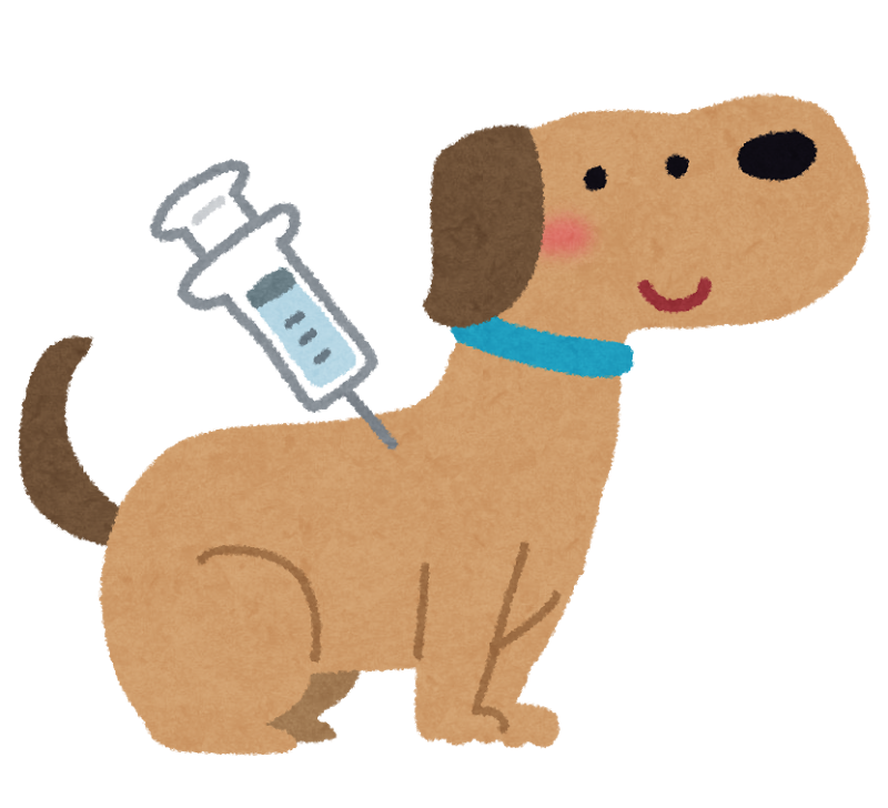 犬,医療費,内訳,